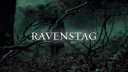⊹ ࣪ ˖ Ravenstag 𝜗ৎ server banner