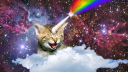 meow server banner