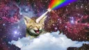 meow nation server banner