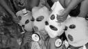 GANG Discord server banner