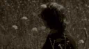 ᴛᴇᴍᴘᴇꜱᴛ Discord server banner