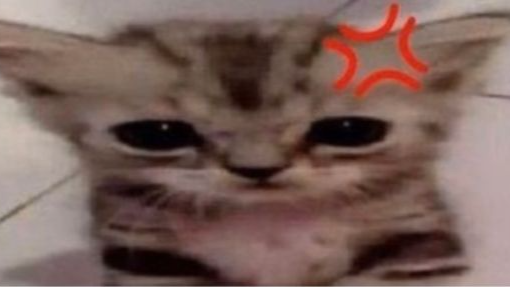 fah! (•ˋ _ ˊ•) Discord server banner