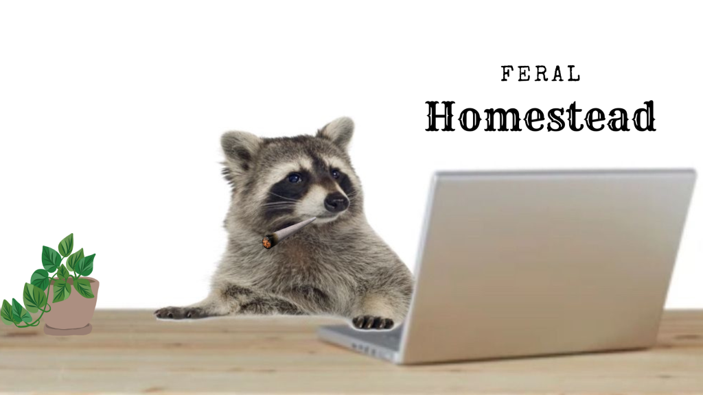 Feral Homestead Discord server banner