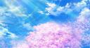  · osu! Paradise Banner