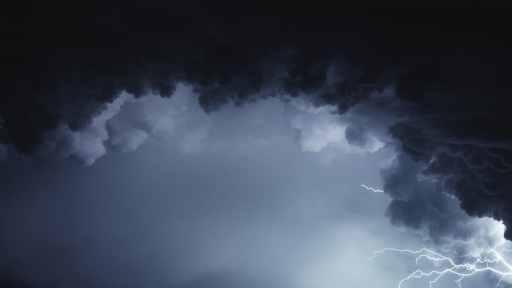 The Lord’s Sheep Discord server banner