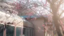 sanrio café 𝜗𝜚 banner