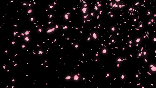 벚꽃 Discord server banner