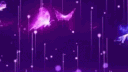 Dolce | Premium Solutions banner