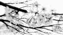 yisifueo banner