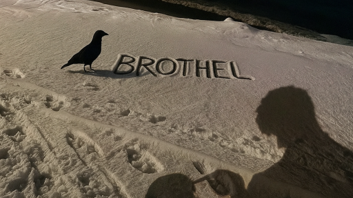 Dark Brothel™ Discord server banner