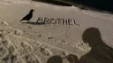 Dark Brothel™ server banner