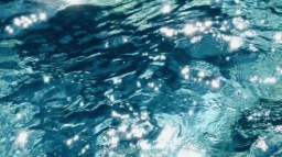 โฎ mooftopia แฆ ๊ฑ server banner