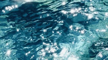 โฎ mooftopia แฆ ๊ฑ Discord server banner