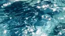 ⋮ mooftopia ღ ꒱ Discord server banner