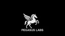 Pegasus Labs banner