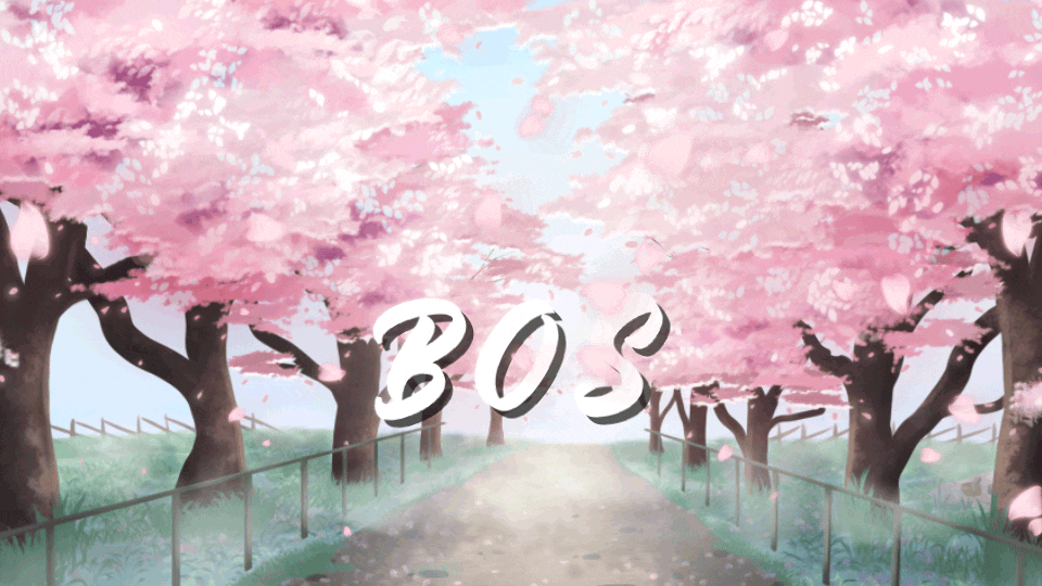 BOS Marketplace banner