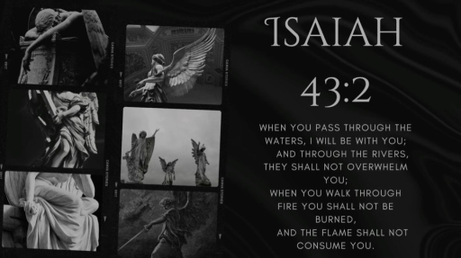 𝔇𝔅𝔄 (𝘋𝘰 𝘕𝘰𝘵 𝘣𝘦 𝘈𝘧𝘳𝘢𝘪𝘥) Discord server banner