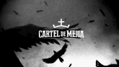 Cartel de Mejia - Sensity banner