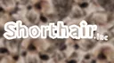 Shorthair Incorporated Discord server banner