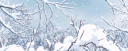 Magic Spells banner