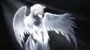 ‿ ೀ 𝓚𝘰𝘹𝘪𝘴 ˖ ⁺ ༝ ۫୨୧ server banner