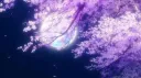 Nocturnis 🌑 banner
