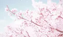 Refrigerator banner