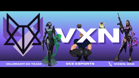 VXN | Vixen banner