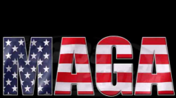 𝐓𝐄𝐀𝐌 𝐌𝐀𝐆𝐀 server banner