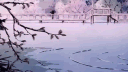 𝗦𝗹𝗼𝘅 🍒 server banner