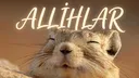 FareBoys#allah banner