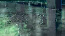 boujee ꕮ server banner