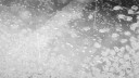 777777777 banner