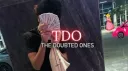 TDO Banner