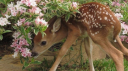 🦦 kansas ℓ 𝒻lattery server banner