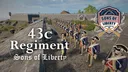 43c Continental Regiment “Sons Of Liberty” banner