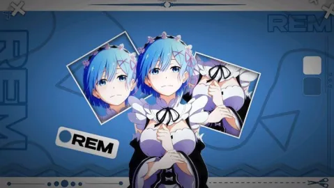 Remora banner