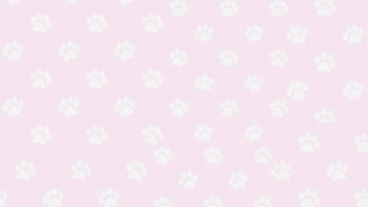 ⁰ᨵᩥ⁰(˵◝ ⩊ ◜˵マ Discord server banner