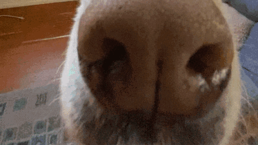 가나디 종겜방 Discord server banner