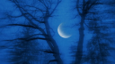 3am - Calm Space Discord server banner