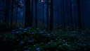 ⌗ !! ꒰ Anakt Garden ꒱ [REVAMP] Discord server banner