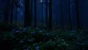 ⌗ !! ꒰ Anakt Garden ꒱ Discord server banner