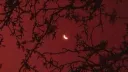 ˗ˏˋ 𝔇𝔞𝔯𝔨𝔢𝔰𝔱 ℌø𝔲𝔯𝔰 ♰ ˎˊ˗ Discord server banner