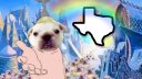 TX-USA Woke Mind Virus Discord server banner