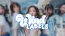 ִ⑅   ﹕𝗪𝗜𝗡𝗗 labels ੭ | banner