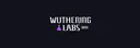 Wuthering Labs#1079 banner