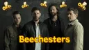 Beechesters banner
