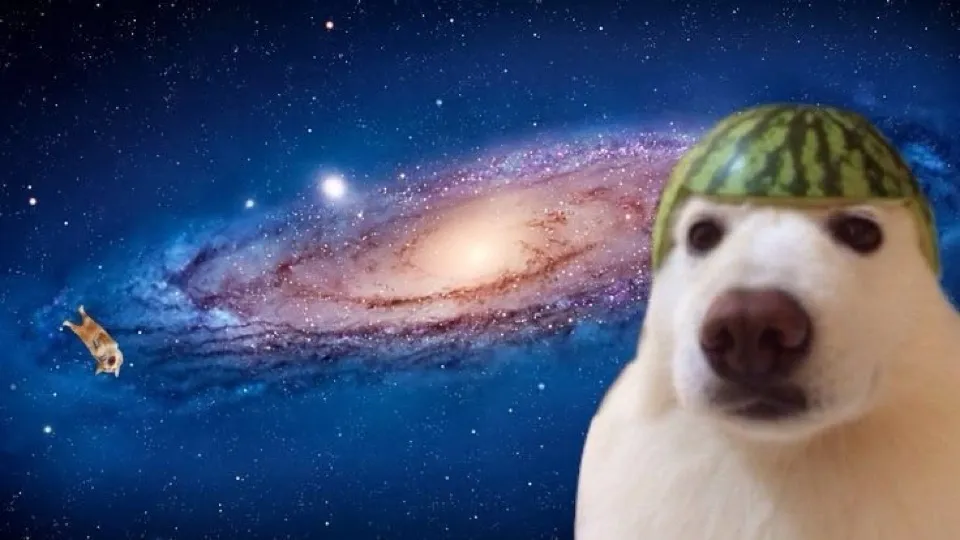 - the jerk circle - Discord server banner