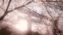 Dar al-Akhawat | دار الأخوات banner