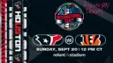 Houston Texans banner